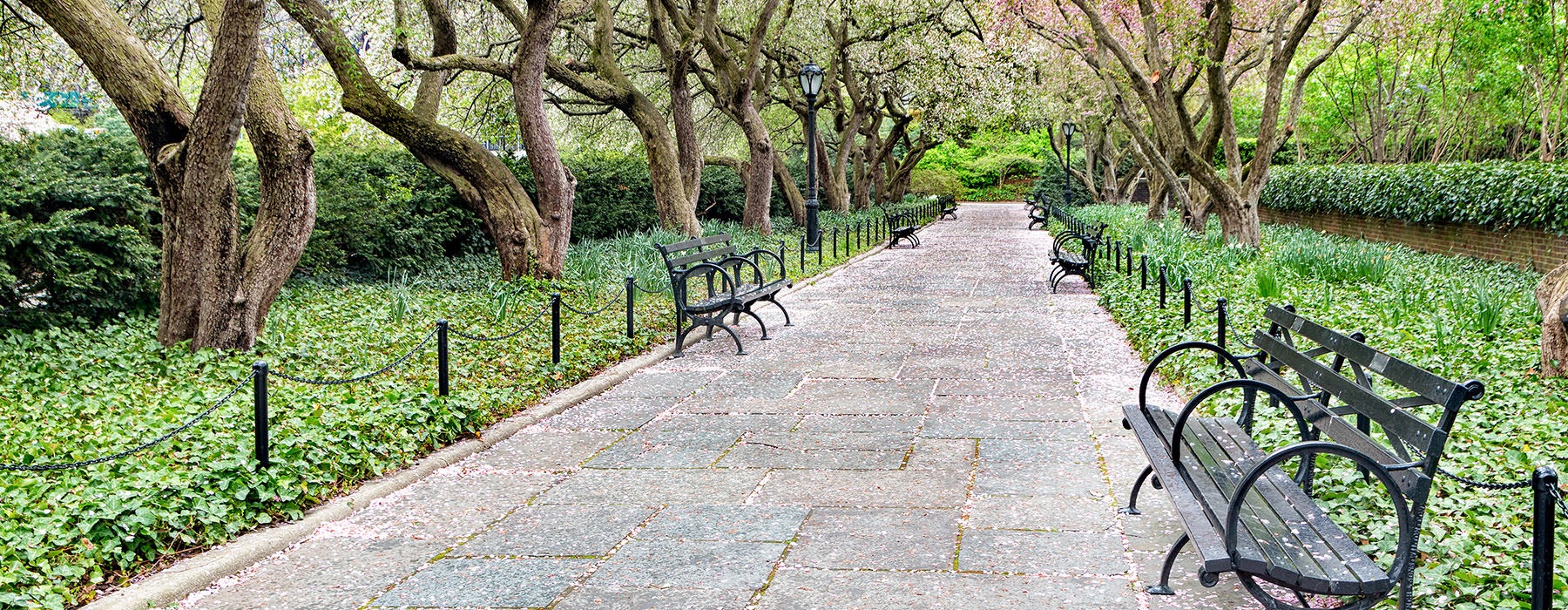 a long walkway with benches and greenery