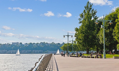 a waterfront path with trees