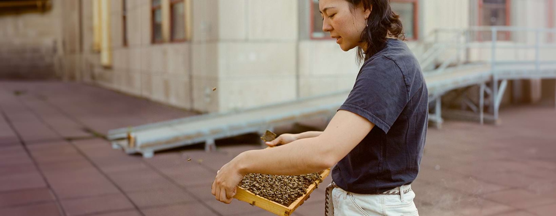 a beekeeper attending to a hive